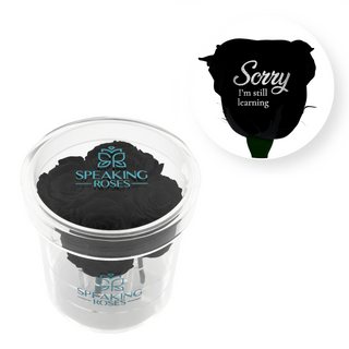 Sorry, I´m still learning - Round Acrylic Box (4 Preserved Stems)