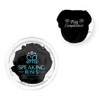 Feliz Cumpleaños - Acrylic Round Box (1 Preserved Stem)