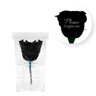 Please forgive me - Square Acrylic Box  (1 Preserved Stem)