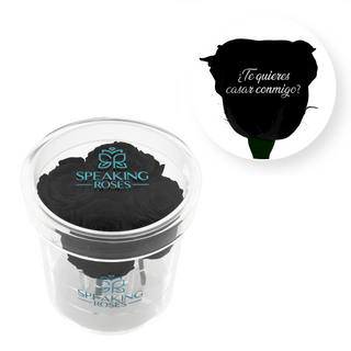 ¿Te quieres casar conmigo? - Round Acrylic Box (4 Preserved Stems)