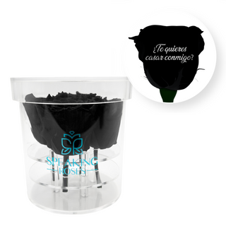 ¿Te quieres casar conmigo? - Round Acrylic Box (4 Preserved Stems)