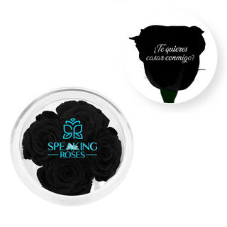 ¿Te quieres casar conmigo? - Round Acrylic Box (4 Preserved Stems)