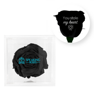 You stole my heart - Square Acrylic Box  (1 Preserved Stem)