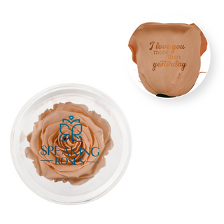 I Love You More Than Yesterday - Acrylic Round Box (1 Preserved Stem)