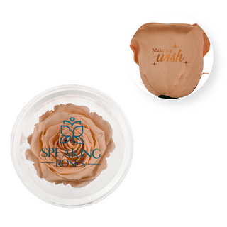 Make A Wish - Acrylic Round Box (1 Preserved Stem)
