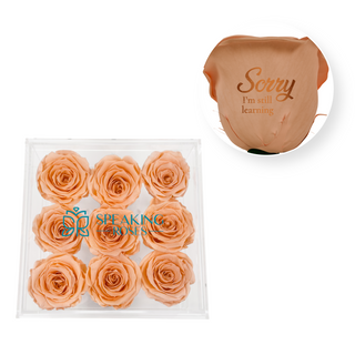 Sorry, I'm still learning - Acrylic Square Box (9 Preserved Rose Stem)