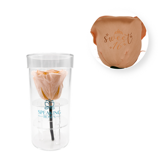 Personalize Your Message - Acrylic Round Box (1 Life-Lasting Rose Stem)