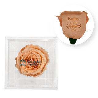 Enjoy your special day! - Square Acrylic Box  (1 Preserved Stem)