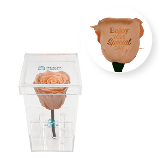 Enjoy your special day! - Square Acrylic Box  (1 Preserved Stem)