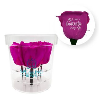 Have a fantastic day! - Round Acrylic Box (4 Preserved Stems)