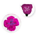 Kiss me - Round Acrylic Box (4 Preserved Stems)