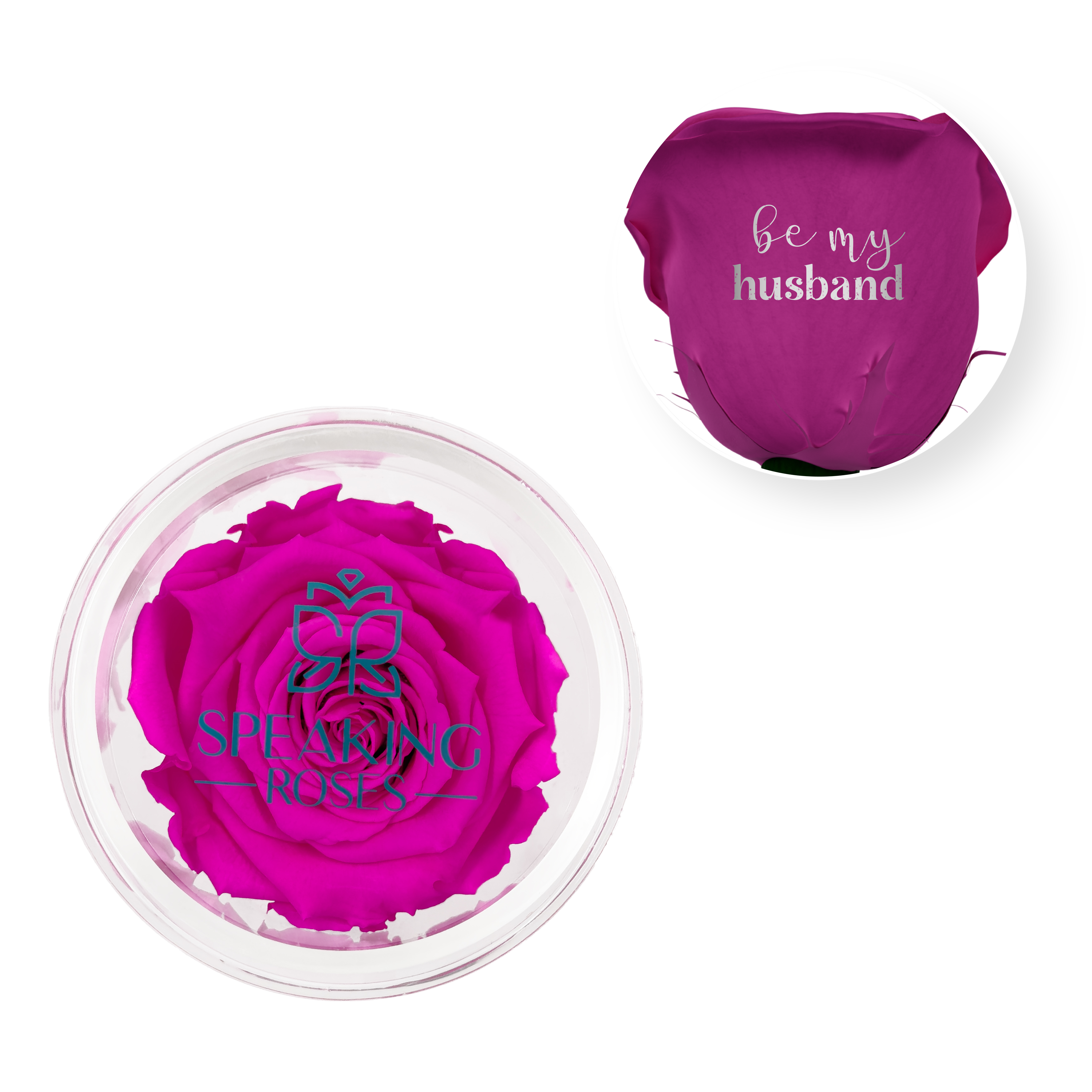 Be my husband - Acrylic Round Box (1 Preserved Stem)