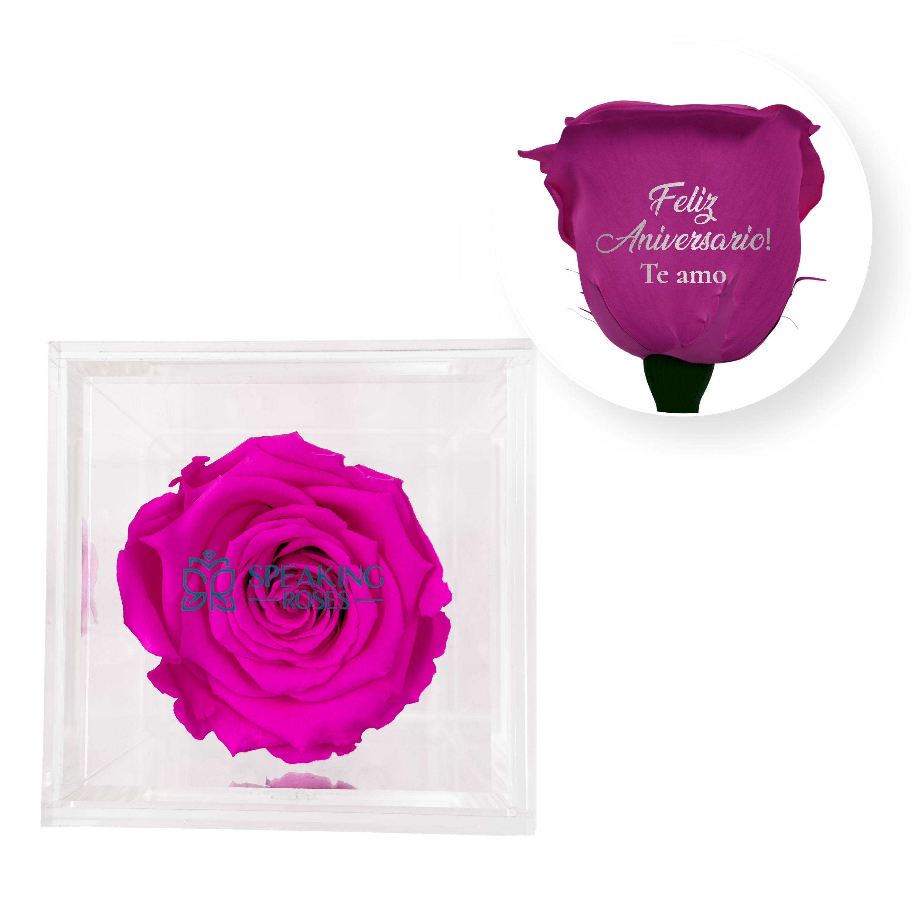 Feliz aniversario! Te amo - Square Acrylic Box (1 Preserved Stem)