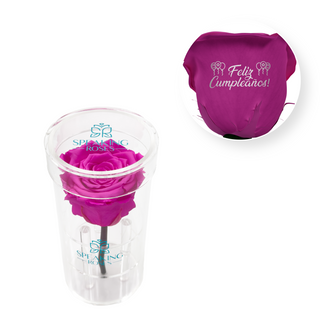 Feliz Cumpleaños - Acrylic Round Box (1 Preserved Stem)
