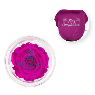 Feliz Cumpleaños - Acrylic Round Box (1 Preserved Stem)