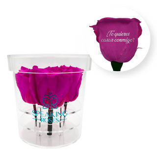 ¿Te quieres casar conmigo? - Round Acrylic Box (4 Preserved Stems)
