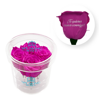¿Te quieres casar conmigo? - Round Acrylic Box (4 Preserved Stems)
