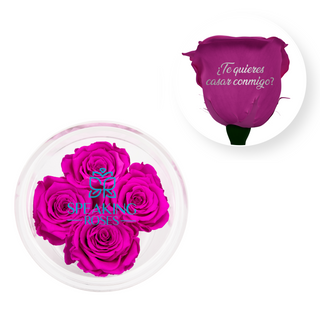 ¿Te quieres casar conmigo? - Round Acrylic Box (4 Preserved Stems)