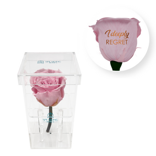 I deeply regret - Square Acrylic Box  (1 Preserved Stem)