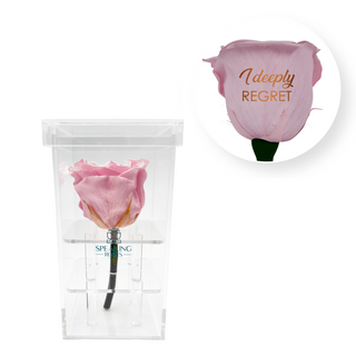I deeply regret - Square Acrylic Box  (1 Preserved Stem)