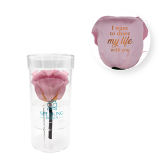 I Want To Share My Life With You - Acrylic Round Box (1 Preserved Stem)