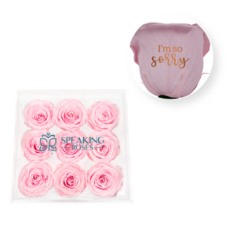 I’m so sorry - Acrylic Square Box (9 Preserved Rose Stem)