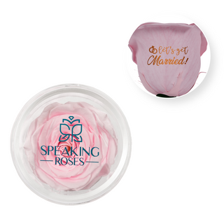 Let's Get Married - Acrylic Round Box (1 Preserved Stem)