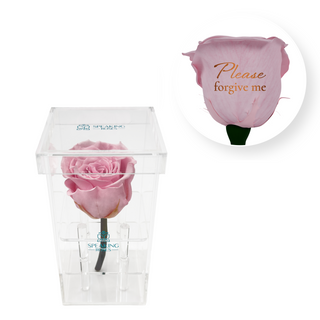 Please forgive me - Square Acrylic Box  (1 Preserved Stem)