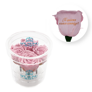 ¿Te quieres casar conmigo? - Round Acrylic Box (4 Preserved Stems)