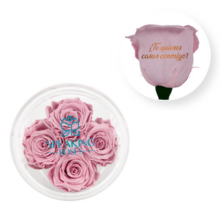 ¿Te quieres casar conmigo? - Round Acrylic Box (4 Preserved Stems)