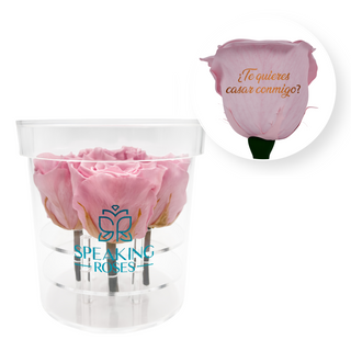 ¿Te quieres casar conmigo? - Round Acrylic Box (4 Preserved Stems)