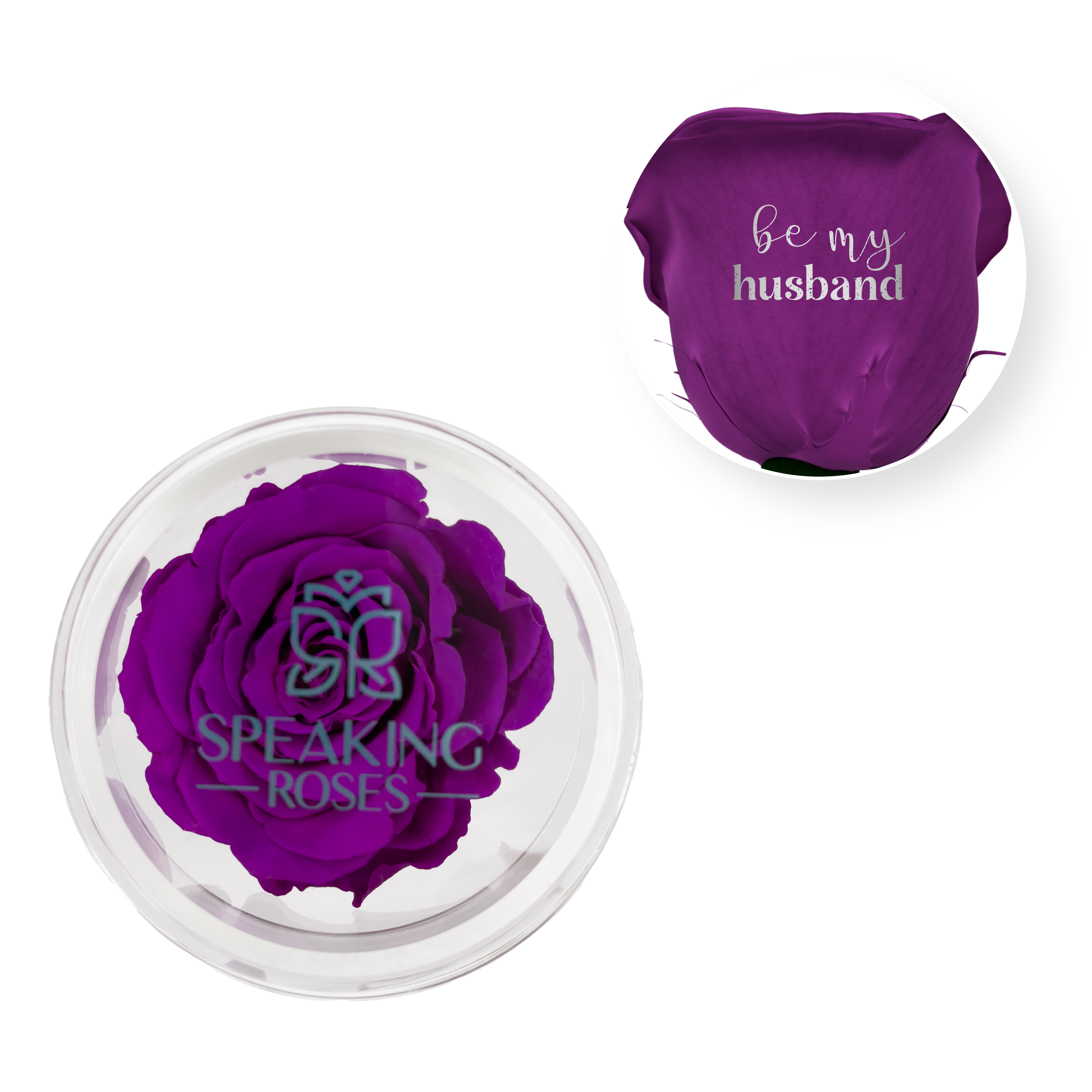 Be my husband - Acrylic Round Box (1 Preserved Stem)