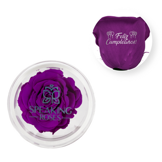Feliz Cumpleaños - Acrylic Round Box (1 Preserved Stem)