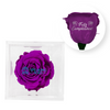 PURPLE-02