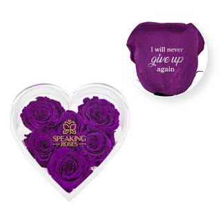 I will never give up again - Heart Acrylic Box  (6 Preserved Stems)