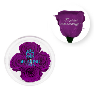 ¿Te quieres casar conmigo? - Round Acrylic Box (4 Preserved Stems)