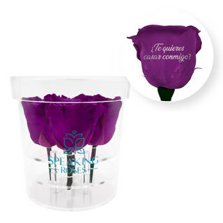 ¿Te quieres casar conmigo? - Round Acrylic Box (4 Preserved Stems)