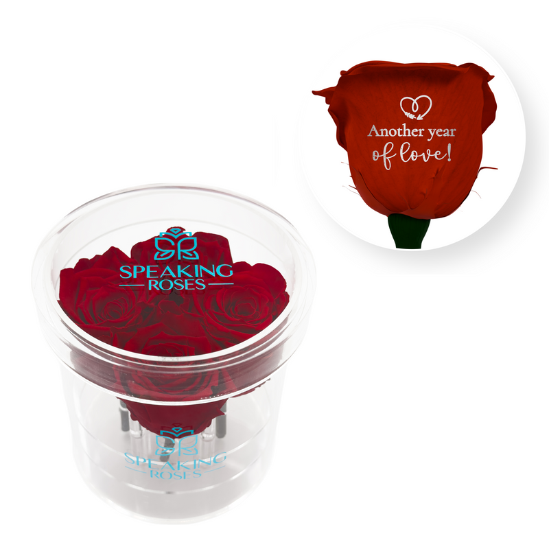 Another year of love! - Round Acrylic Box (4 Preserved Stems)