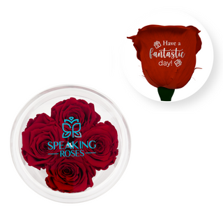 Have a fantastic day! - Round Acrylic Box (4 Preserved Stems)
