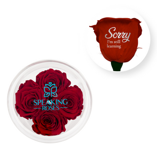 Sorry, I´m still learning - Round Acrylic Box (4 Preserved Stems)