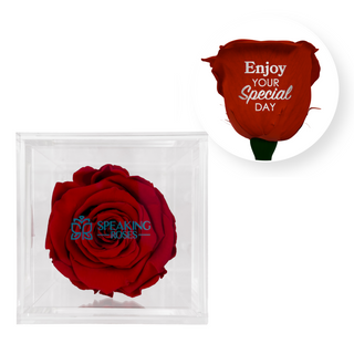 Enjoy your special day! - Square Acrylic Box  (1 Preserved Stem)