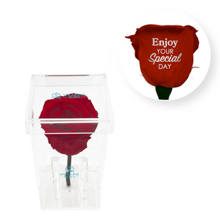 Enjoy your special day! - Square Acrylic Box  (1 Preserved Stem)