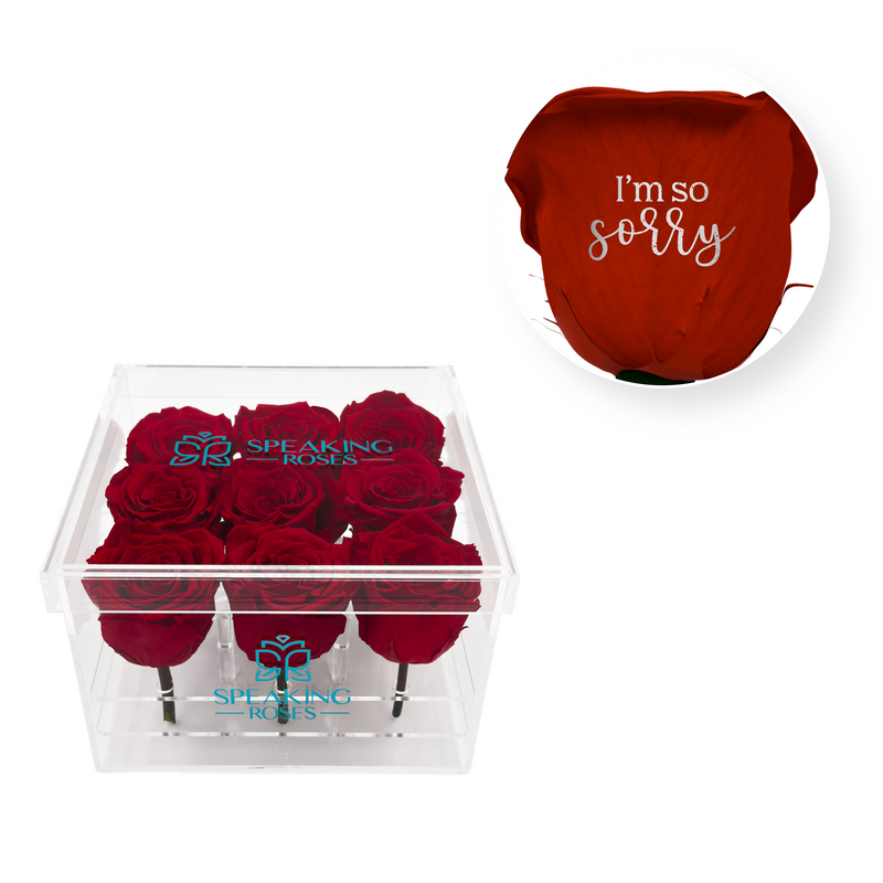 I’m so sorry - Acrylic Square Box (9 Preserved Rose Stem)