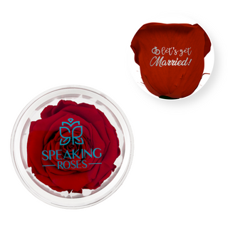 Let's Get Married - Acrylic Round Box (1 Preserved Stem)