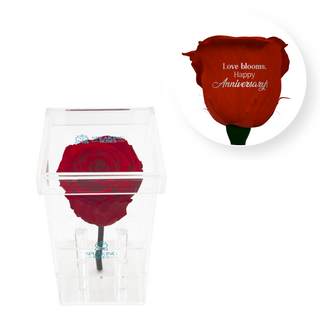 Love blooms, happy anniversary! - Square Acrylic Box  (1 Preserved Stem)
