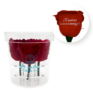 ¿Te quieres casar conmigo? - Round Acrylic Box (4 Preserved Stems)