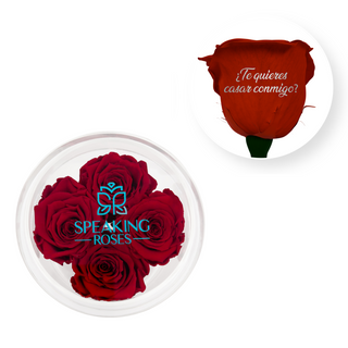 ¿Te quieres casar conmigo? - Round Acrylic Box (4 Preserved Stems)