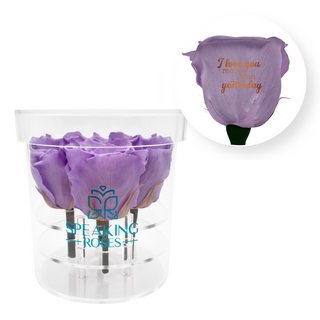 I love you more than yesterday - Round Acrylic Box (4 Preserved Stems)