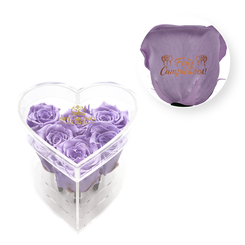 Feliz cumpleaños! - Heart Acrylic Box (6 Preserved Stems)