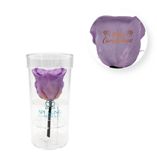 Feliz Cumpleaños - Acrylic Round Box (1 Preserved Stem)